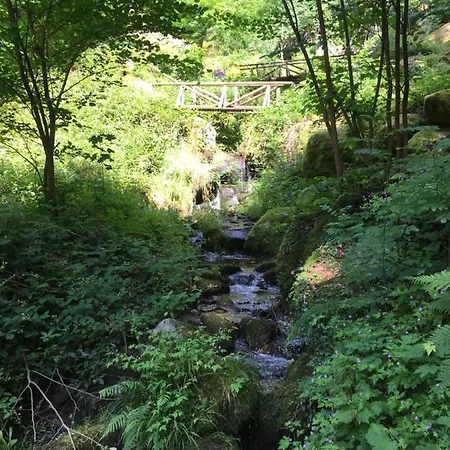 Apartmán Brandmatt - Weitblick - 54qm Sasbachwalden